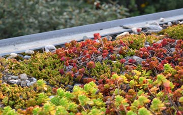 the cost of Hitchill green roof installation