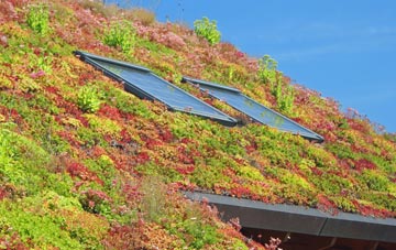 Hitchill living roof systems