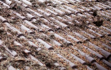 Hitchill roof cleaning companies