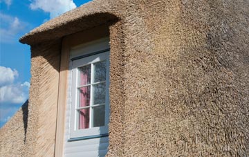 Hitchill thatch roof disadvantages